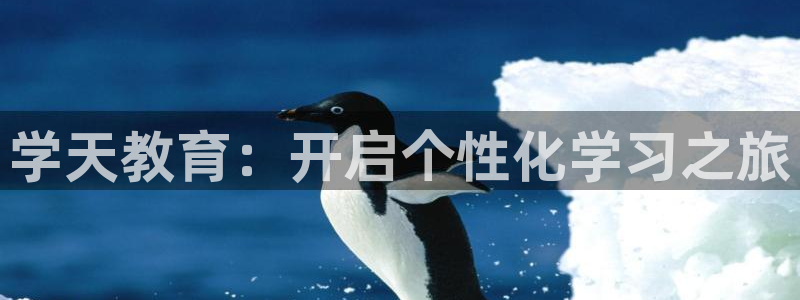 安信12账号