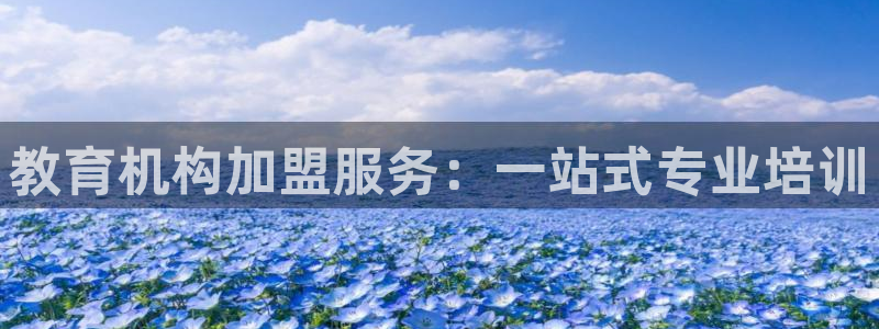 安卓12微信