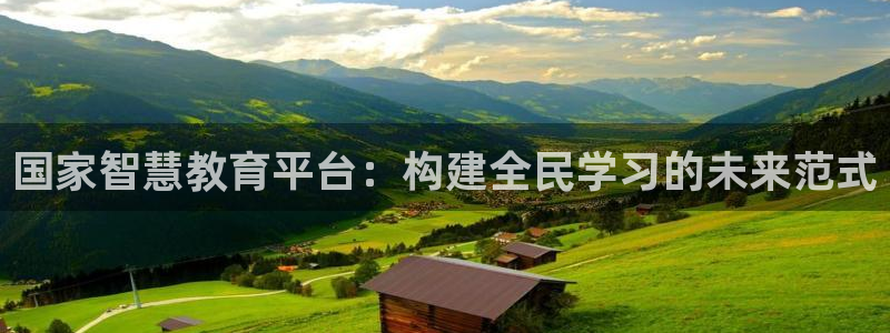 安信证券手机壳12