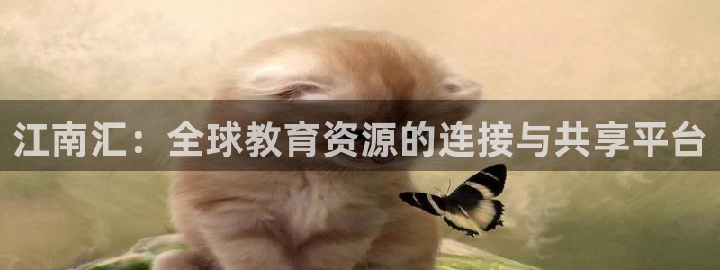 安信12负责人