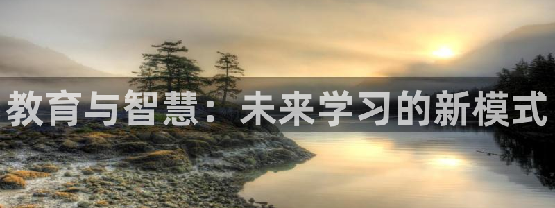 安信12软件介绍