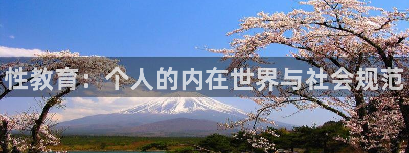 安信12如何开代理