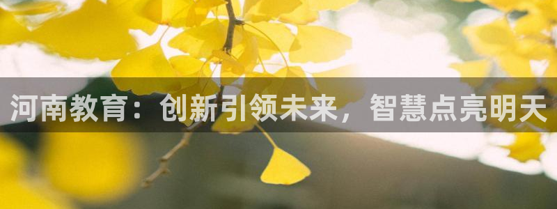 安信12是正规平台吗