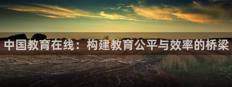 安信安盈12最新消息