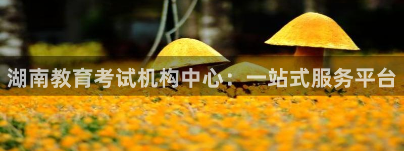 安信12怎么下载