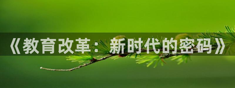 奇安信12流转场