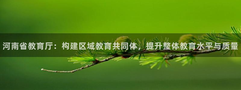 安信12软件介绍