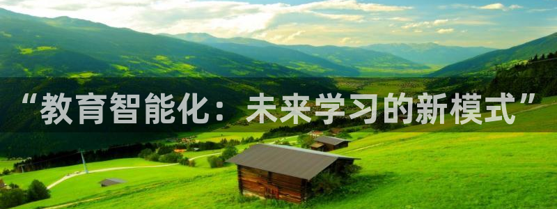 安信12专用挂机