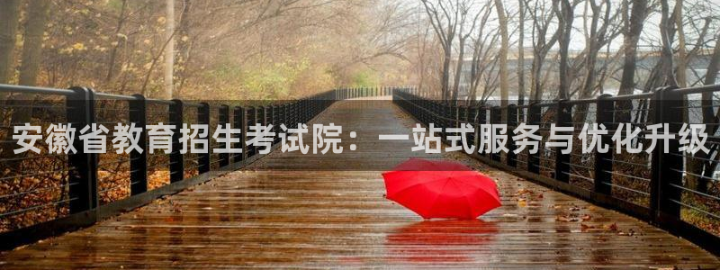 安信锐赢134号12月