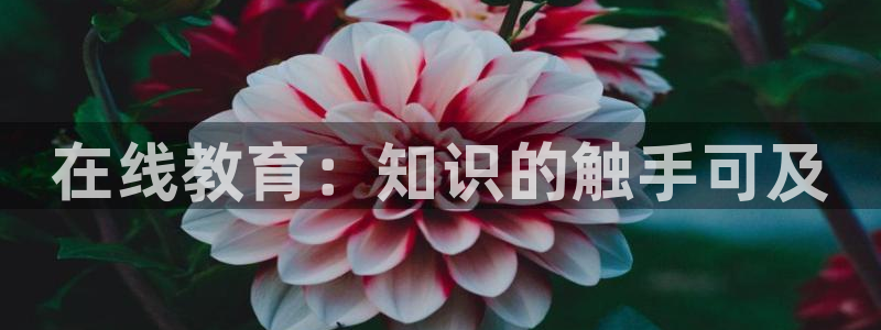 安信12周年庆典