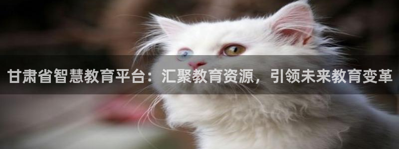 安信锐赢134号12月