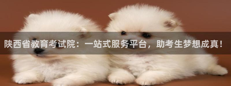 安信12彩票app下载