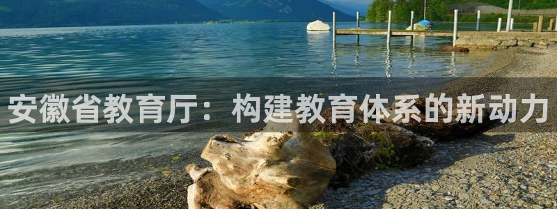 如何注销安信12软件