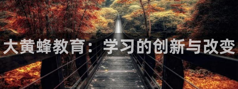 安信12是什么平台