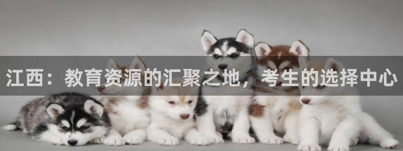 安信12是正规还是仿