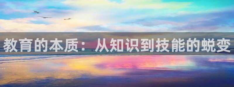 安信12平台介绍