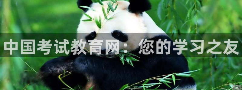 安信12彩票在线网址