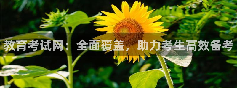 安信12位数资金号