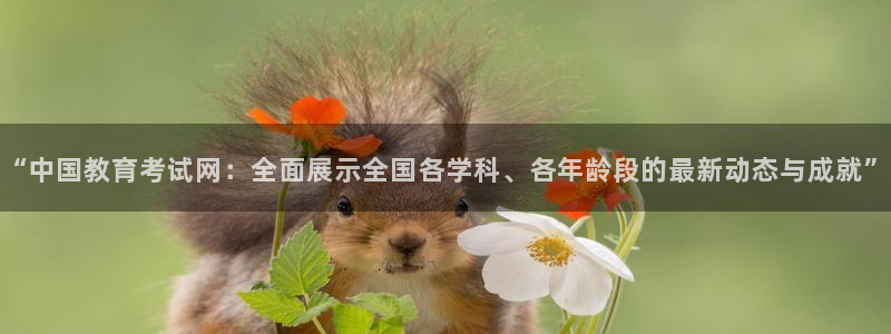 安信12娱乐主管