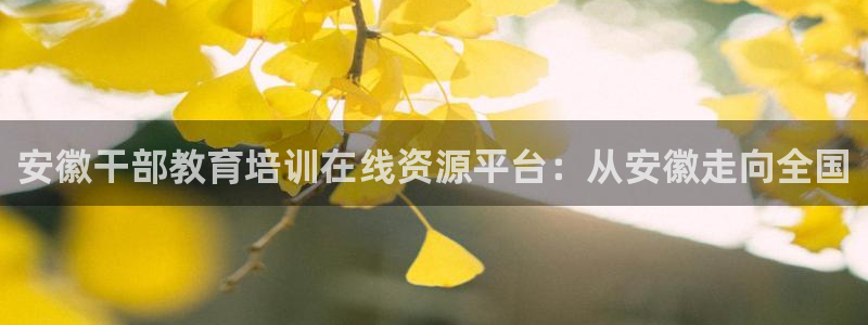 安信4娱乐去55 12