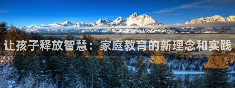 安信12软件介绍