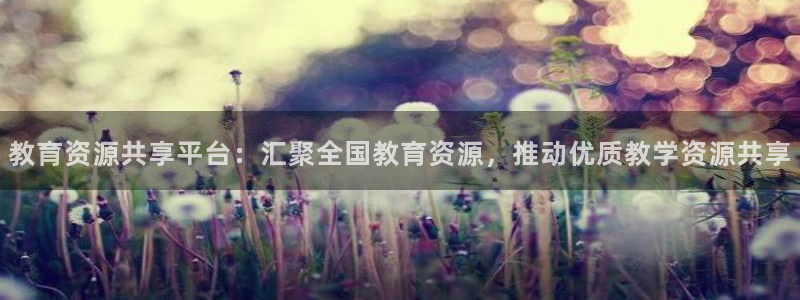 安信12是正规还是仿