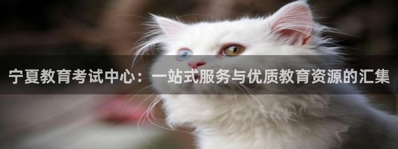 安信12专用挂机