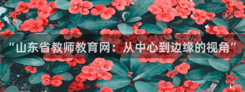 安信12怎么下载