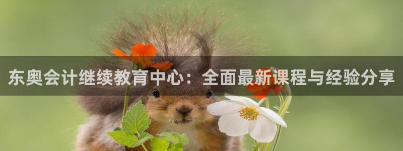 安信12级粉丝团福利