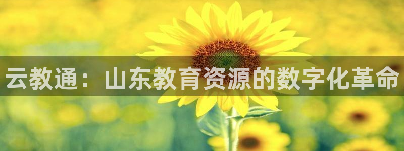 安信12是什么软件