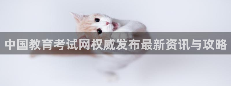 安信安盈12最新消息