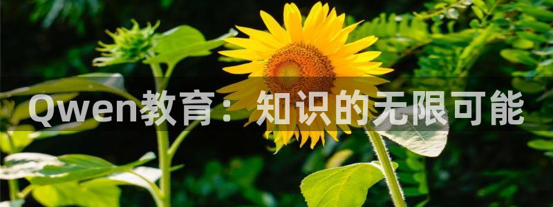 安信证券手机壳12