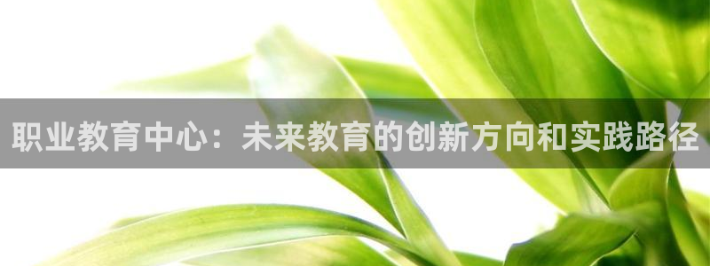 安信12是正轨网站吗