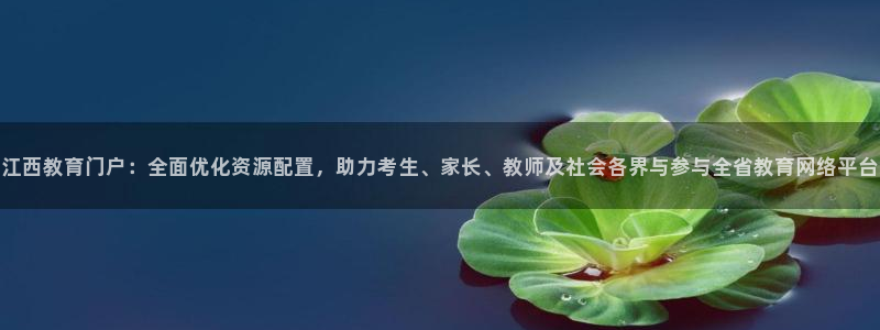 安信12是正轨网站吗