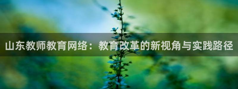 安信12官方网站查询