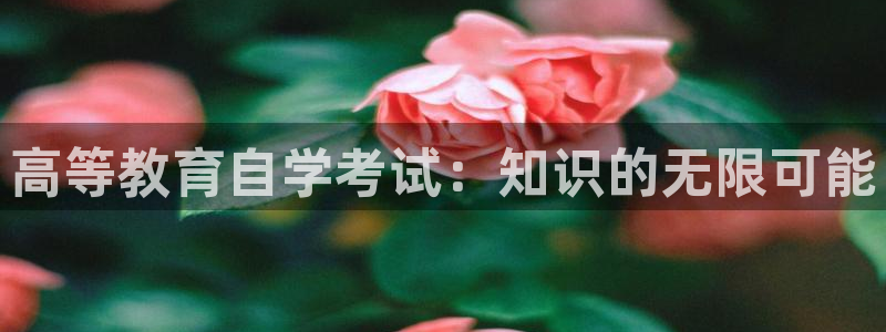 安信12月金股