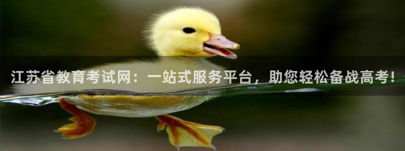 安卓12微信