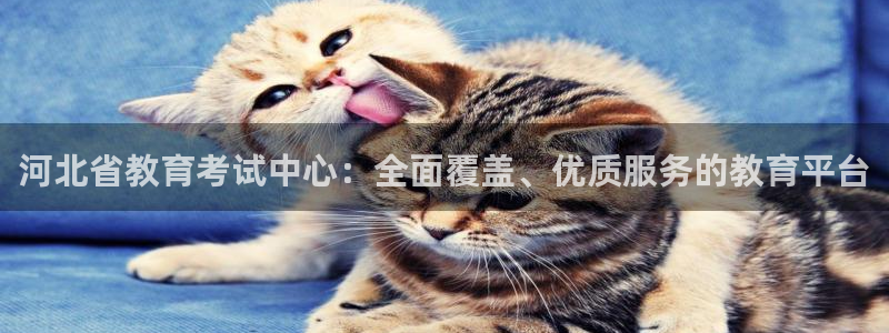 安信12周年庆