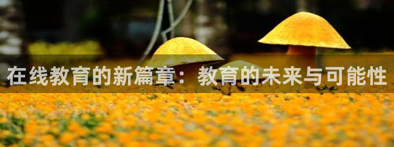 安信12是正规平台吗
