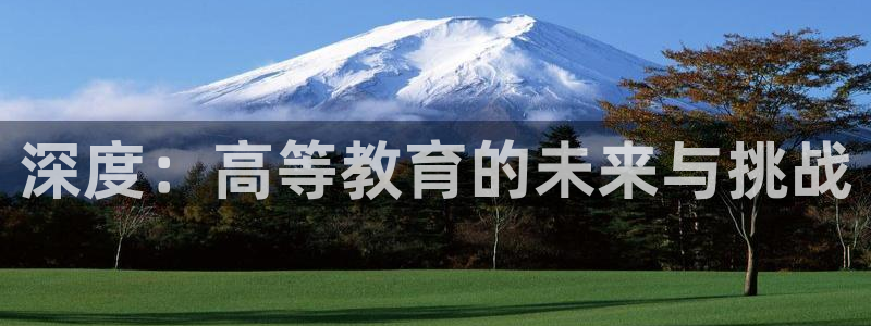 安信12级粉丝团福利