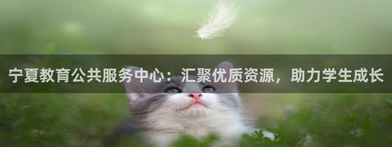 奇安信12流转场