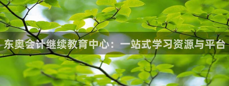 安信12月金股