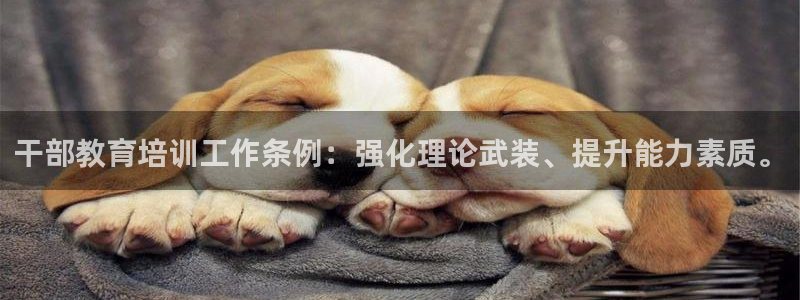 信安杯12