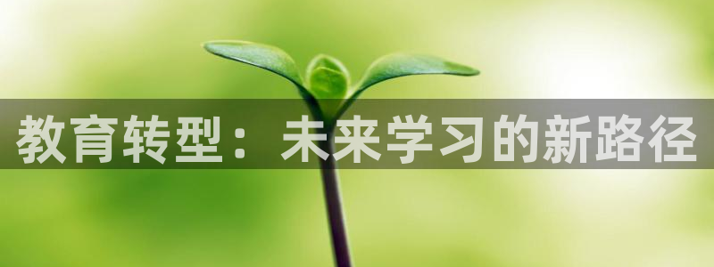安信12娱乐招商探索空间