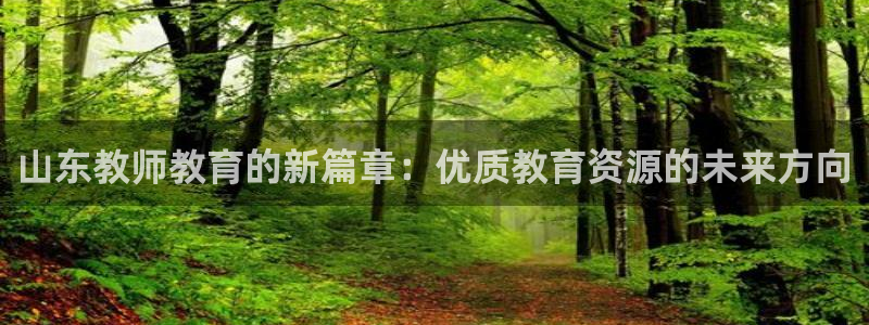 安信12包赔