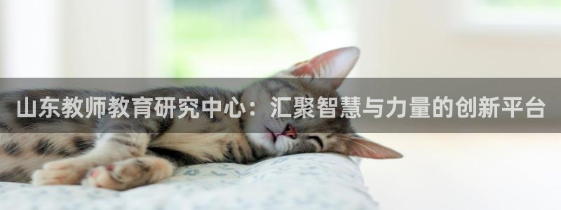 安信12真假