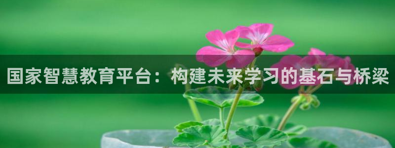 安信12平台开户
