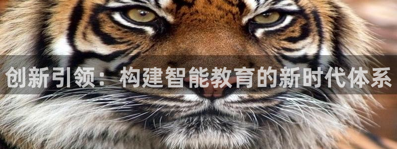 安信安翼 12账号