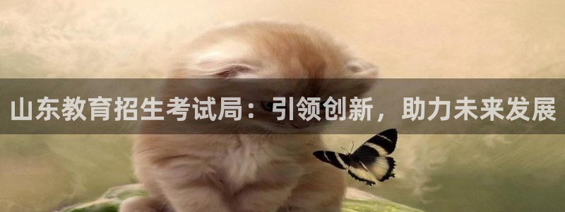 安信cw12系列