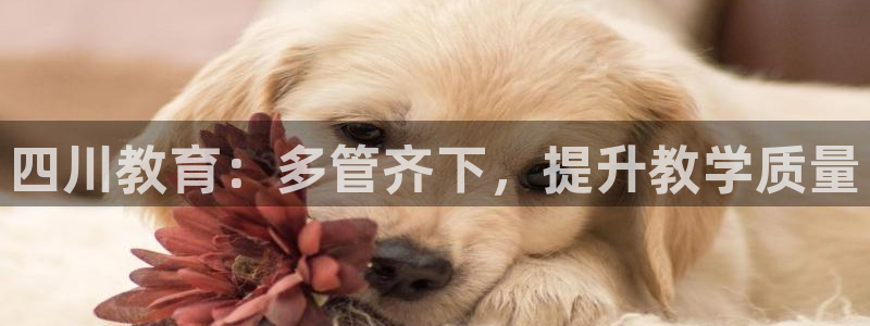 安信cw12系列